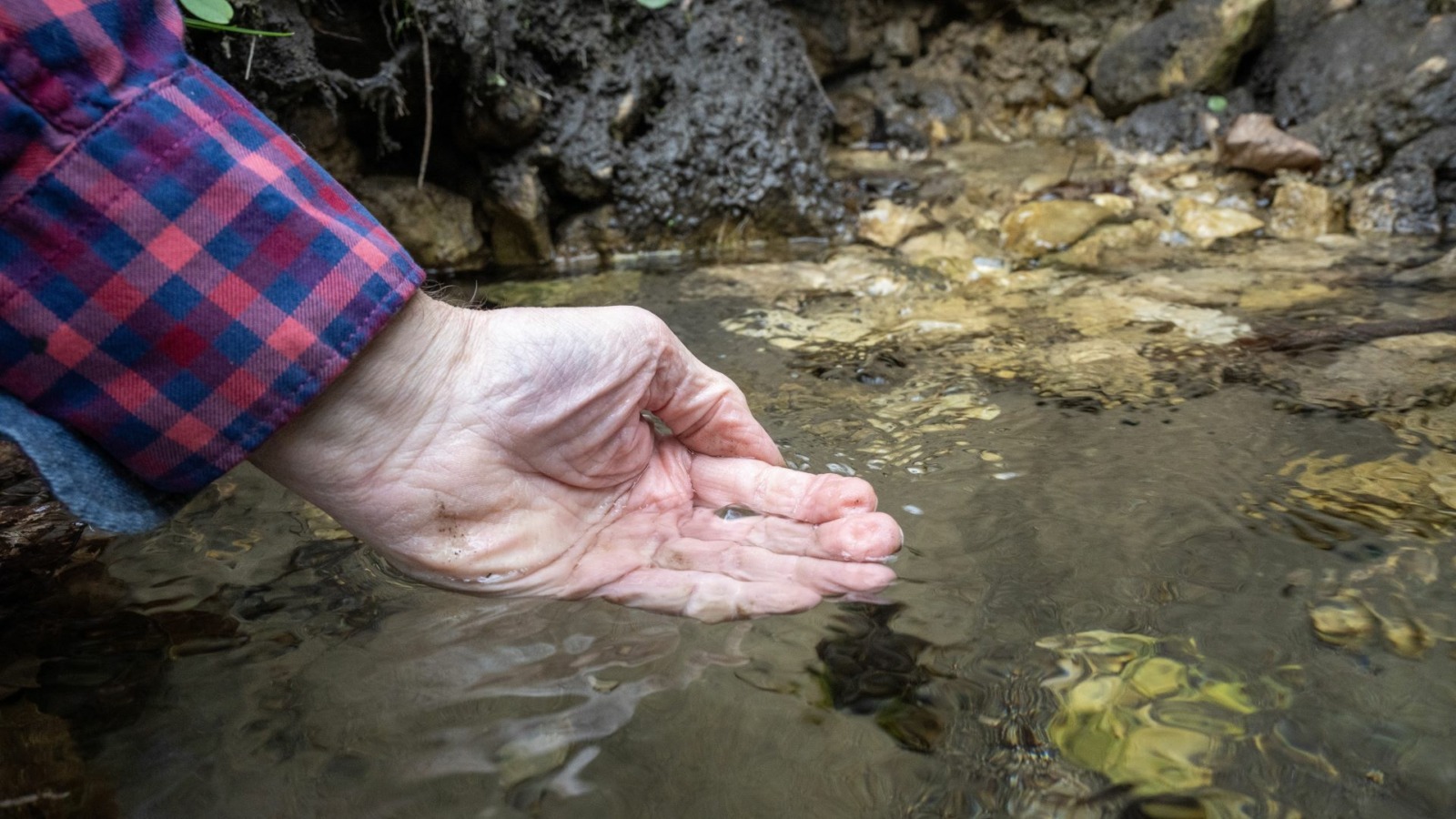 Jeff Broberg examines water from a spring on April 11, 2024, near Altura, Minnesota.