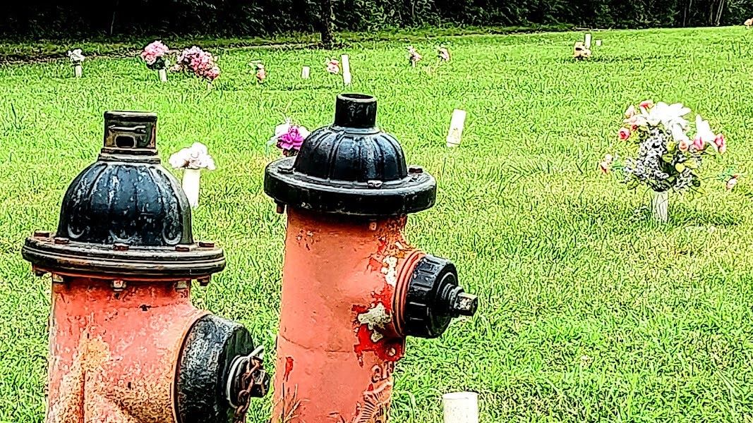 Grave markers include fire hydrants at the Wayside Waifs pet cemetery.