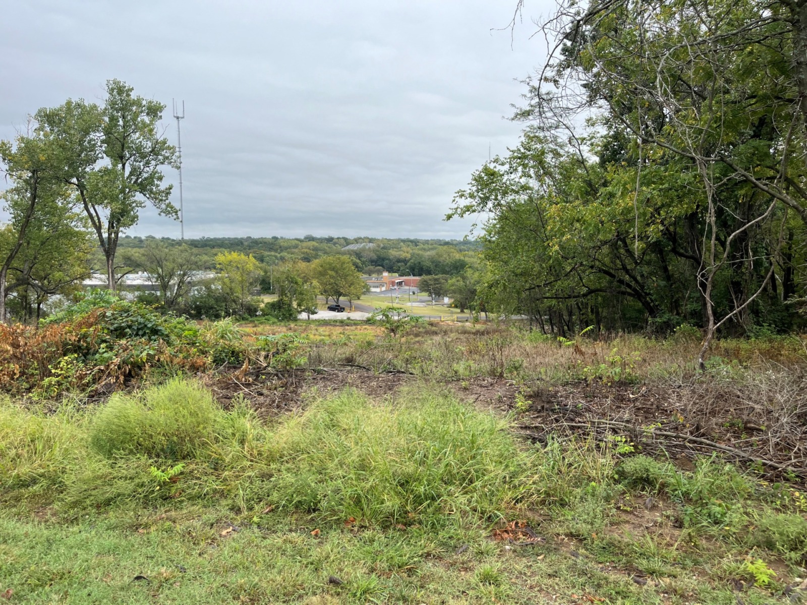 A view of the Big Blue battlefield now that parks and recreation has cleared it.
