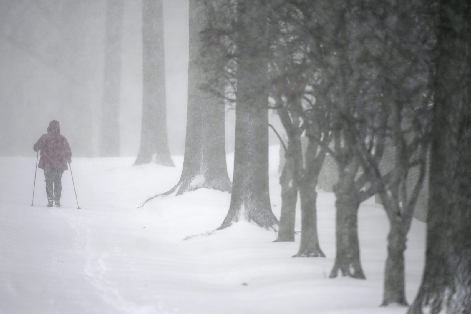 A man skis up a a snowy street in Kansas City, Mo., as a winter storm passes through the region Thursday, Feb. 17, 2022. (AP Photo/Charlie Riedel)