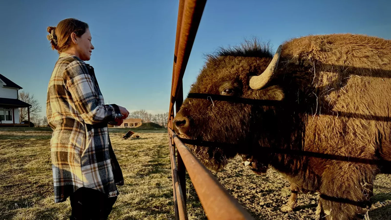 Jenna Batchelder and her husband Brad have been raising livestock for years. A grant from USDA Rural Development helped them branch out into a successful retail meat business. (Frank Morris | Harvest Public Media)