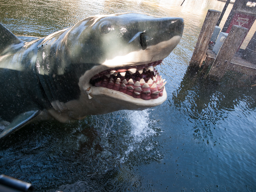 Friday marks the 50 years since the release of "Jaws," the film that made moviegoers terrified to enter the water. Johnson County Park & Rec is showing the film Saturday night at Shawnee Mission Park. (Flikr)