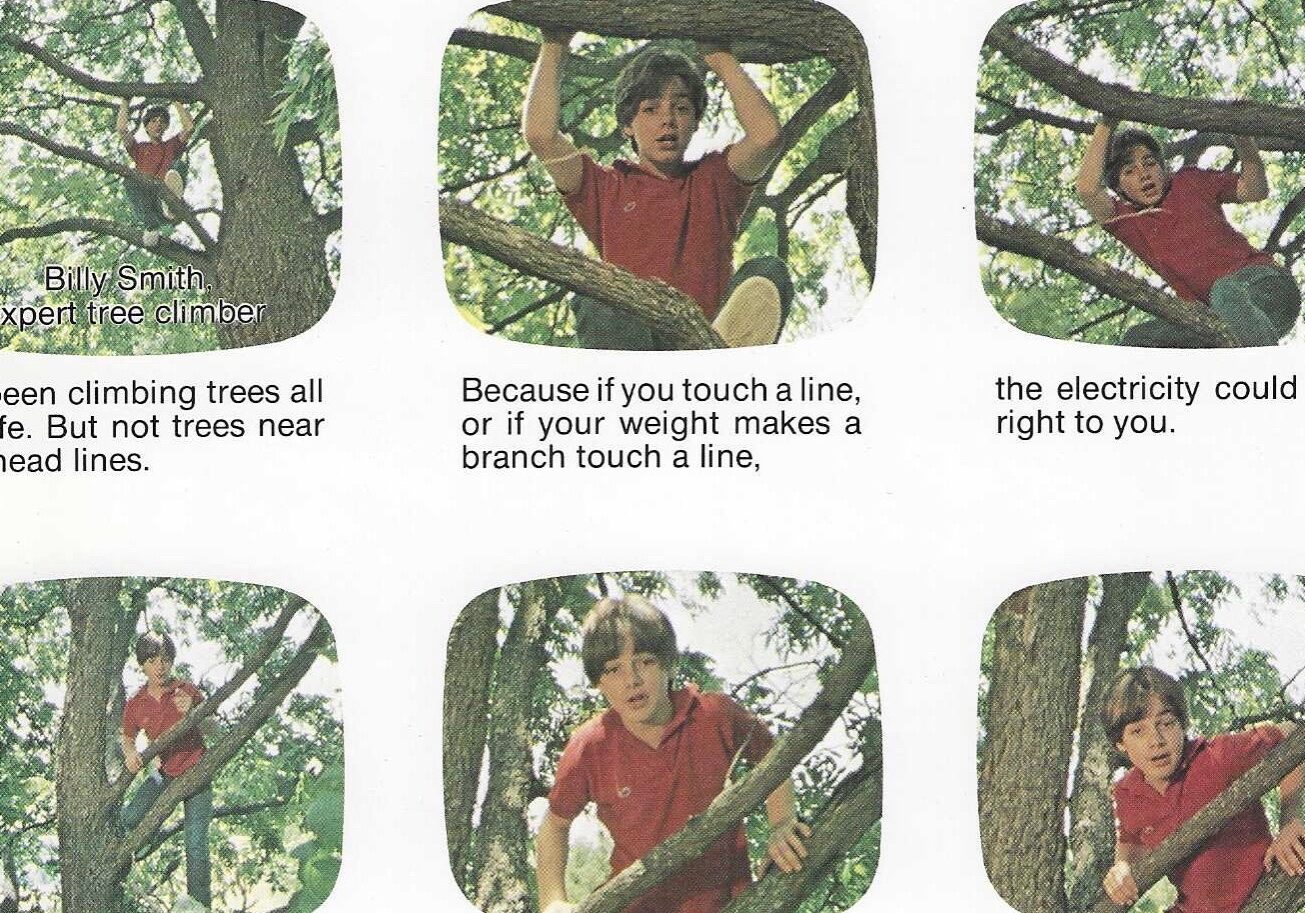 Six frames of the post-production storyboard for the Billy Smith Tree Climbing Expert PSA.