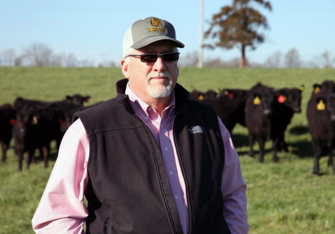 A man standing in front of his cattle