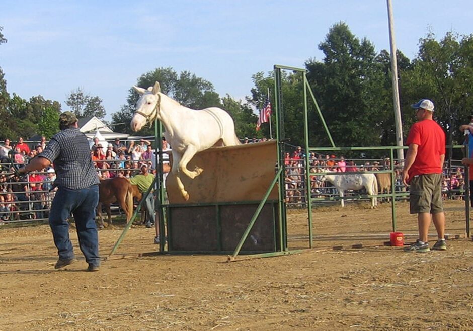 Whitey clears the hurdle, with leading from competitor Richard Dement. (Jacob McCleland for Harvest Public Media)
