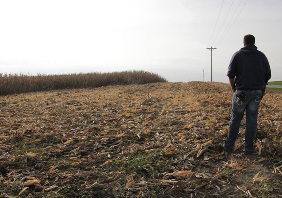 Like many beginning farmers, Grant Curtis wants to invest in his operation but expectations of low prices are tying his hands. (Abby Wendle/Harvest Public Media)