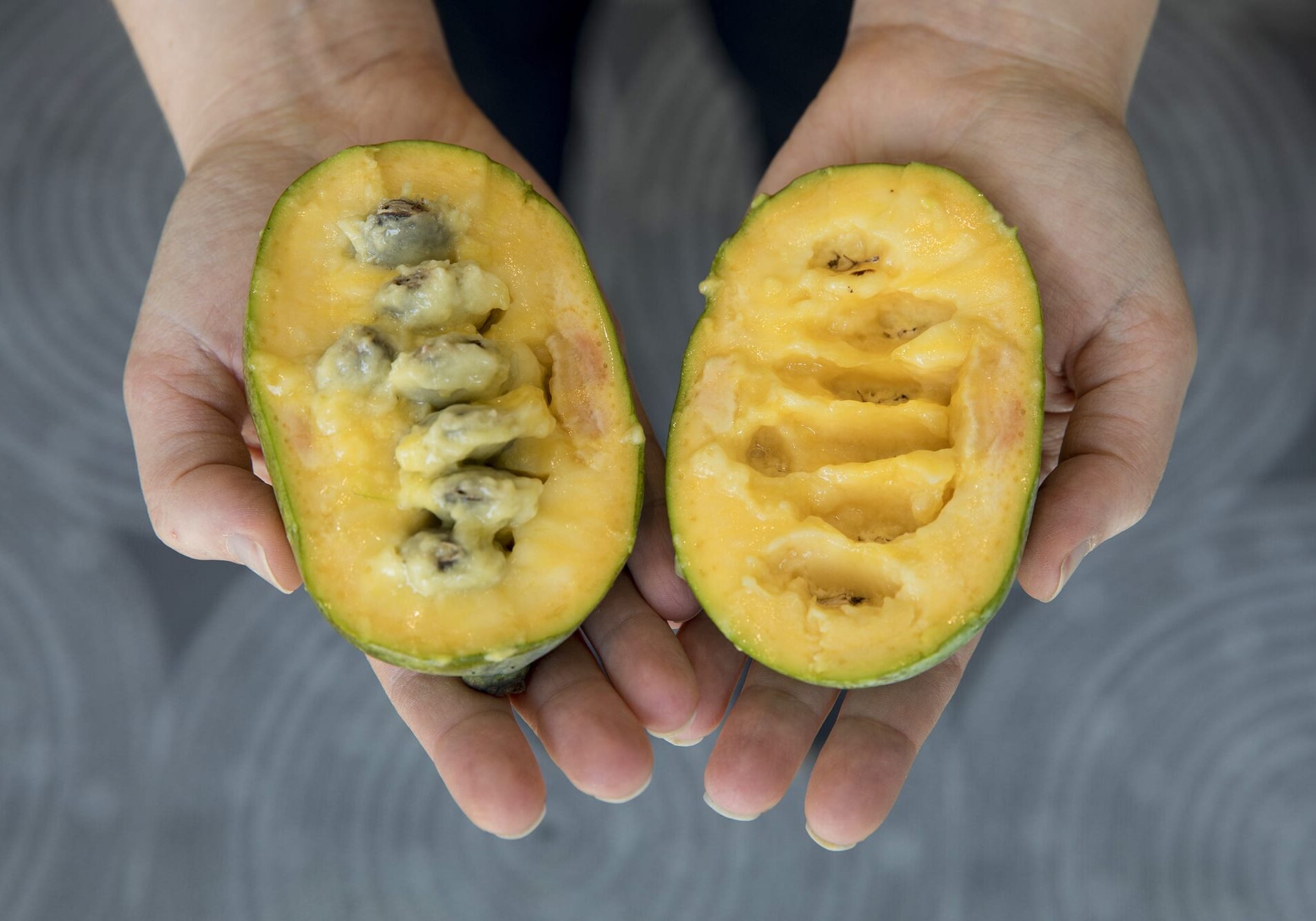 The inside of a pawpaw is soft and gooey.