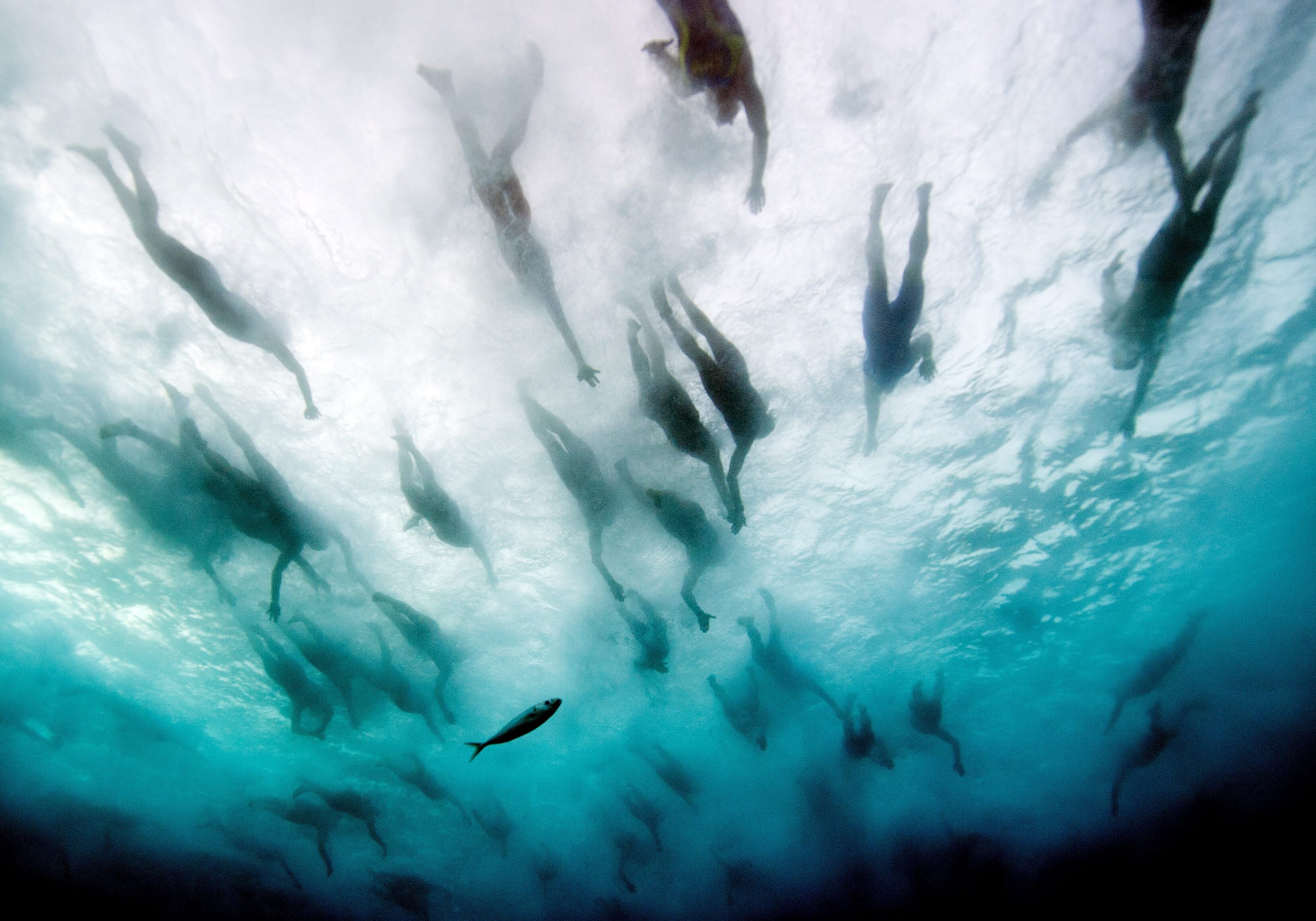 the start of the swimming portion of a triathalon