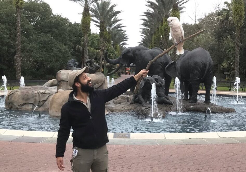 Alexander Grousis-Henderson