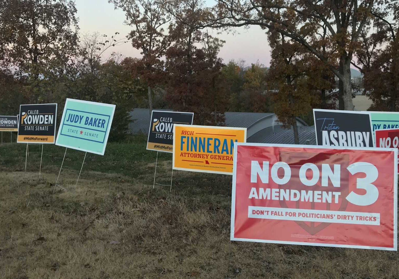 Amendment 3 yard sign