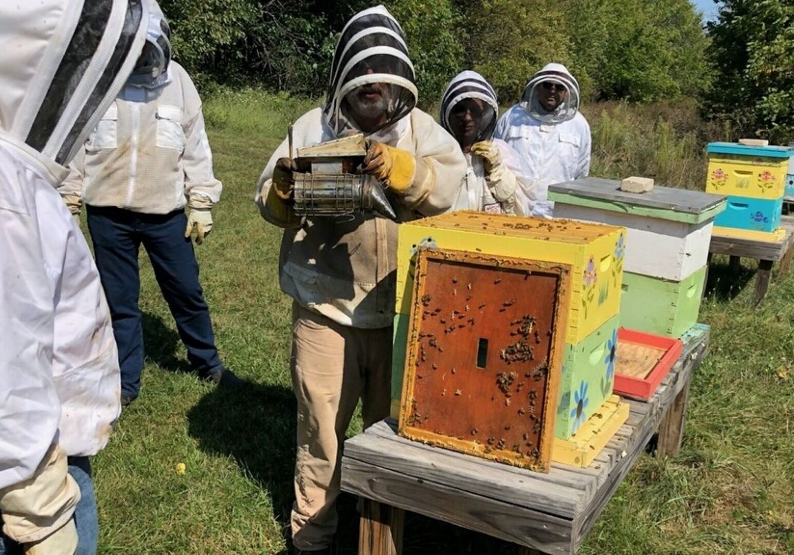 Agritourists commune with honey bees