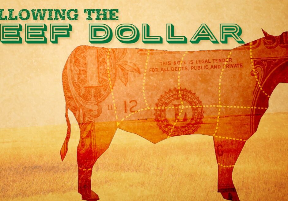 Following the Beef Dollar