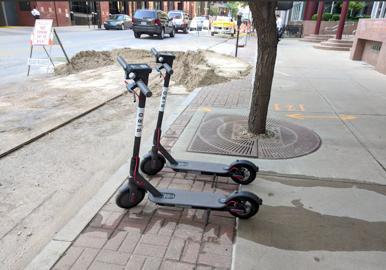 Bird scooters