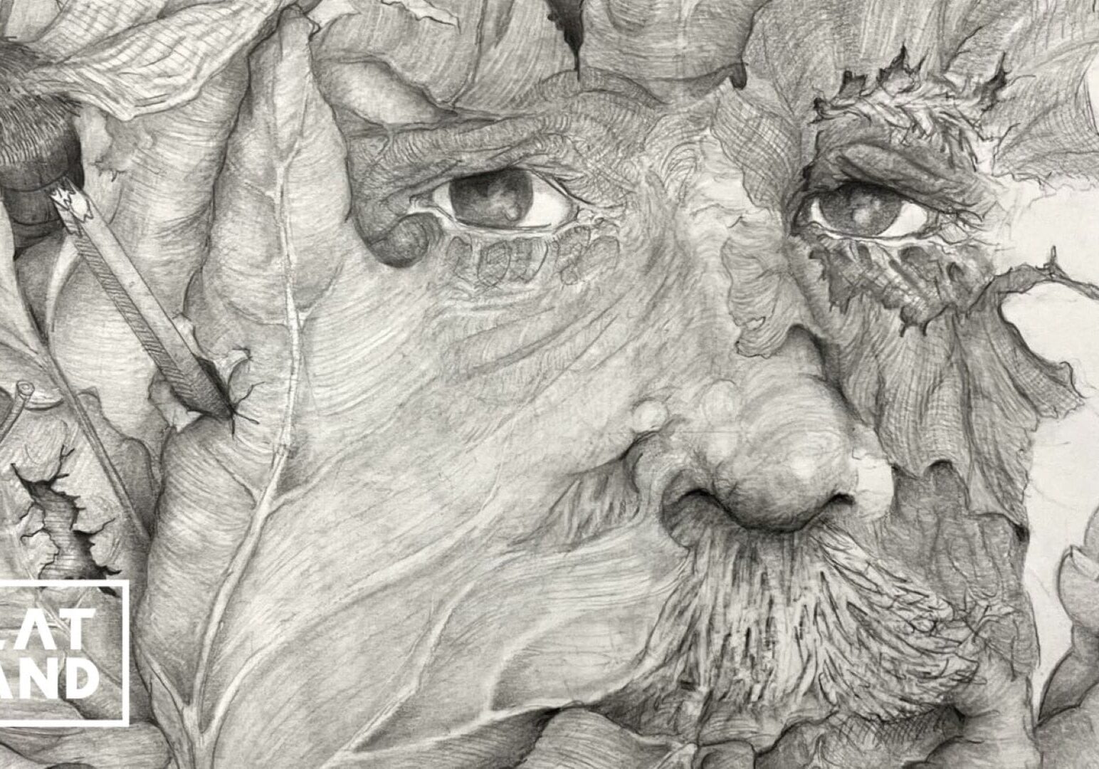 A graphite drawing that is part of artist Bruce McClain's "The Elder Leaf Collection."