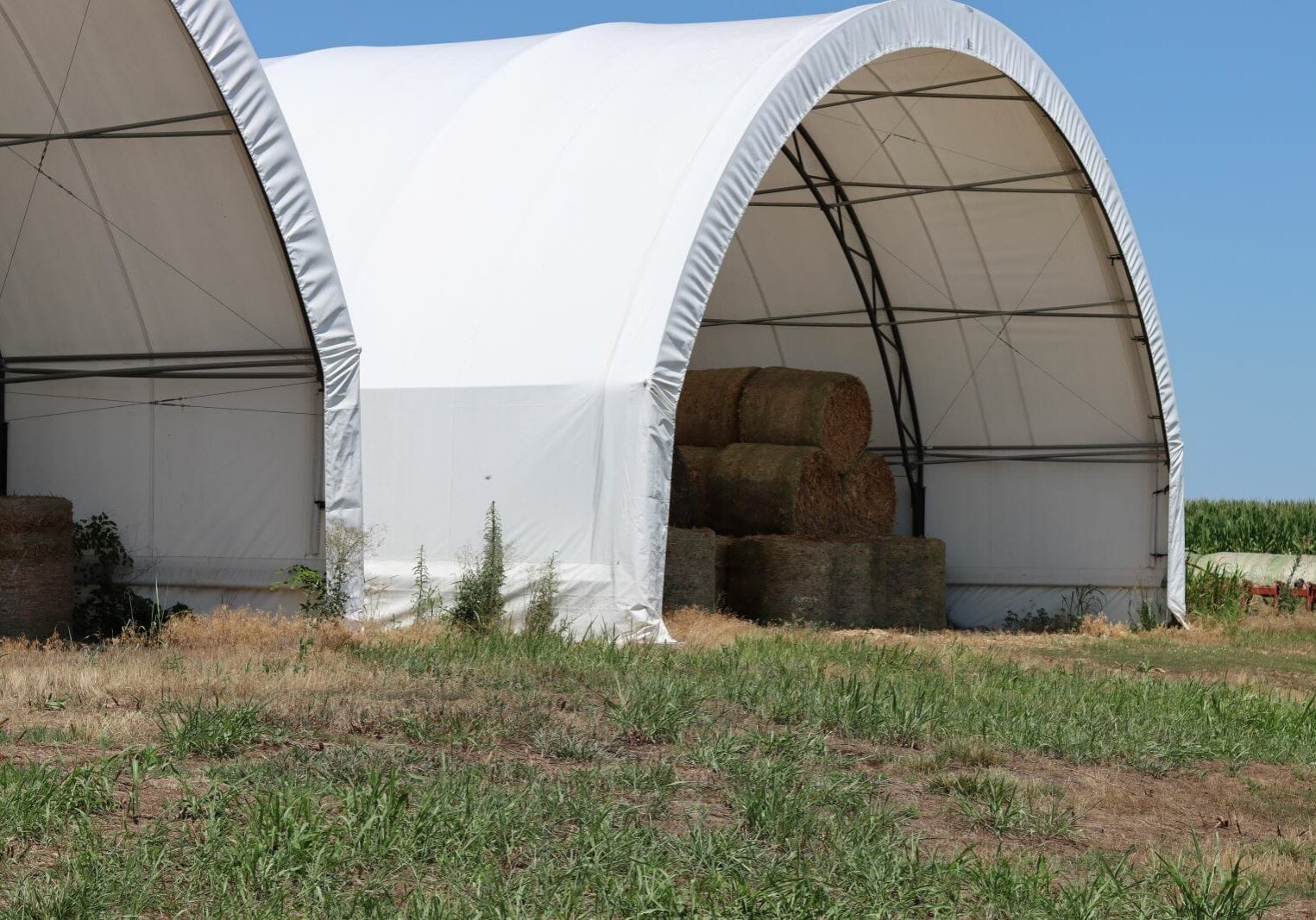 Two hoop barns covered in white tarp are filled with a small amount of round hay bales.
