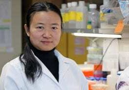 Qi Chen, Ph.D, Assistant Professor at KU Medical Center, is a senior author of a study concerning the use of vitamin C to help ovarian cancer patients.
