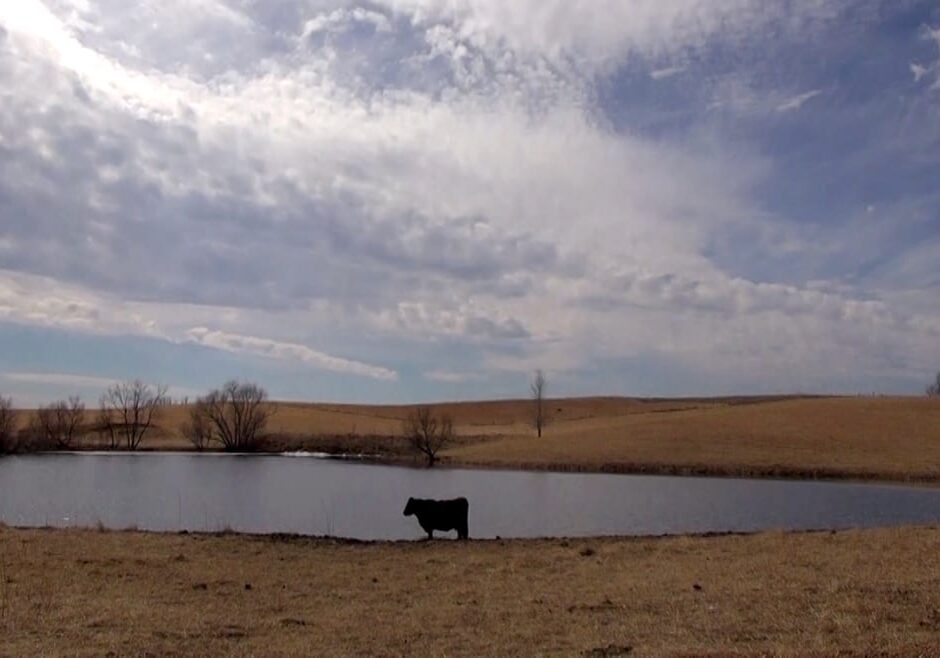 Todd Feeback captured the essence of Kansas in this photograph from a farm just north of Topeka. Photo by Todd Feeback/The Hale Center for Journalism