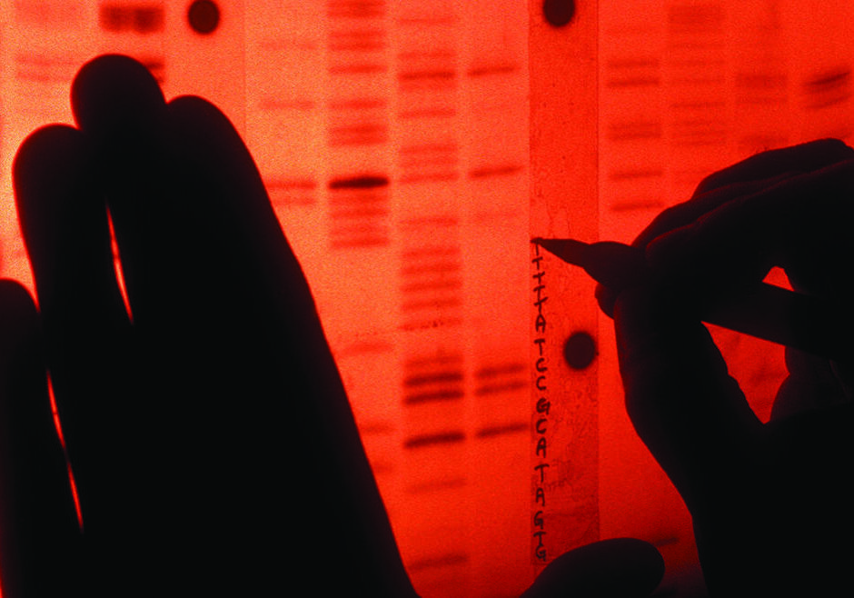 Original caption: A scientist labels each protein in the radio nucleotide sequence of human genes to create a unique DNA profile. --- Image by © Dan McCoy - Rainbow/Science Faction/Corbis