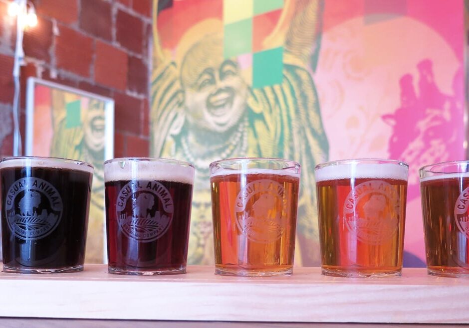 Casual Animal offers flights