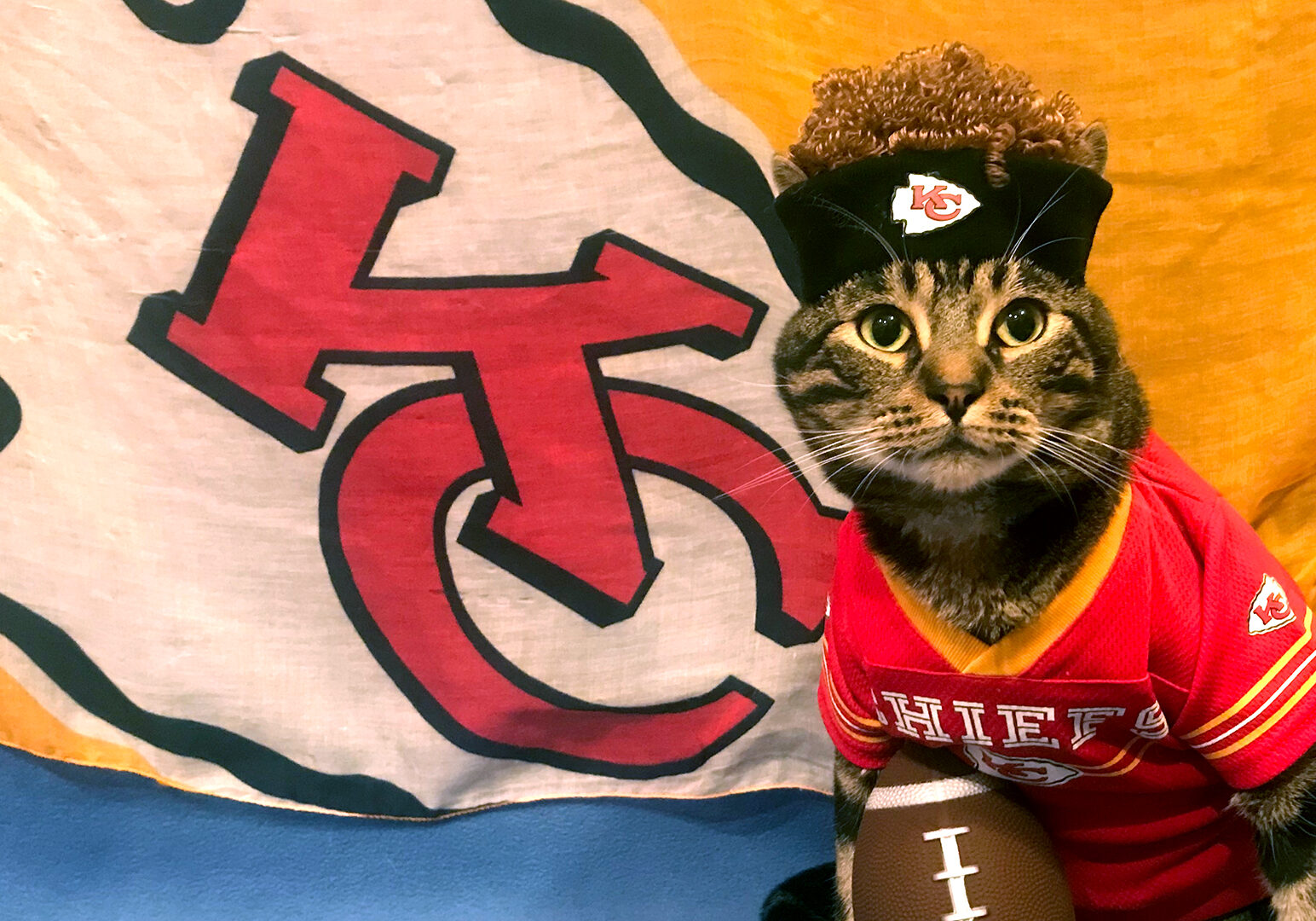 Cat dressed up as Patrick Mahomes