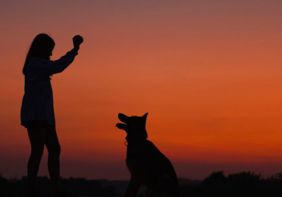 Woman with her dog in the sunset