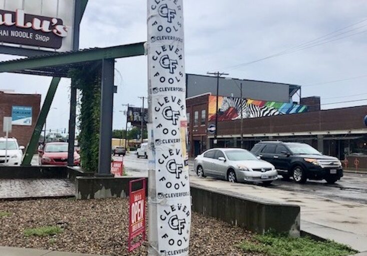 Clever Fools leaflet