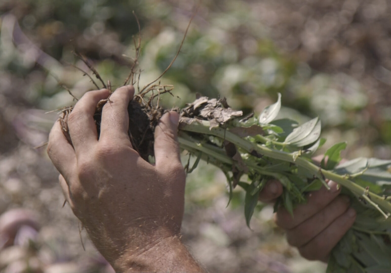 Climate change’s serious effects on Kansas Citians disproportionately affect the poor
