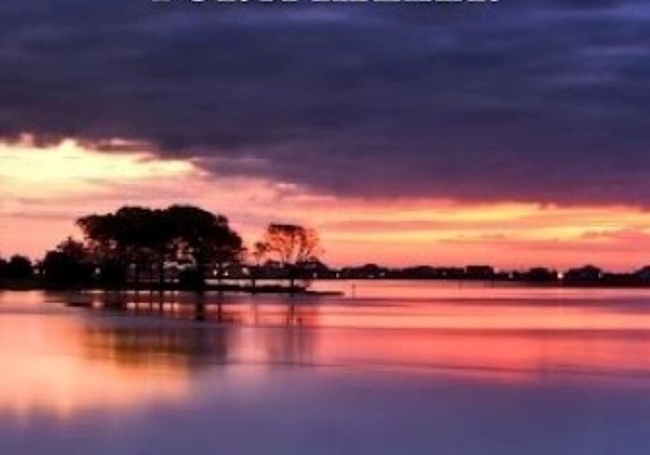 The cover of "Ripple: A Long Strange Search for a Killer," features a photo from the low country in coastal South Carolina.