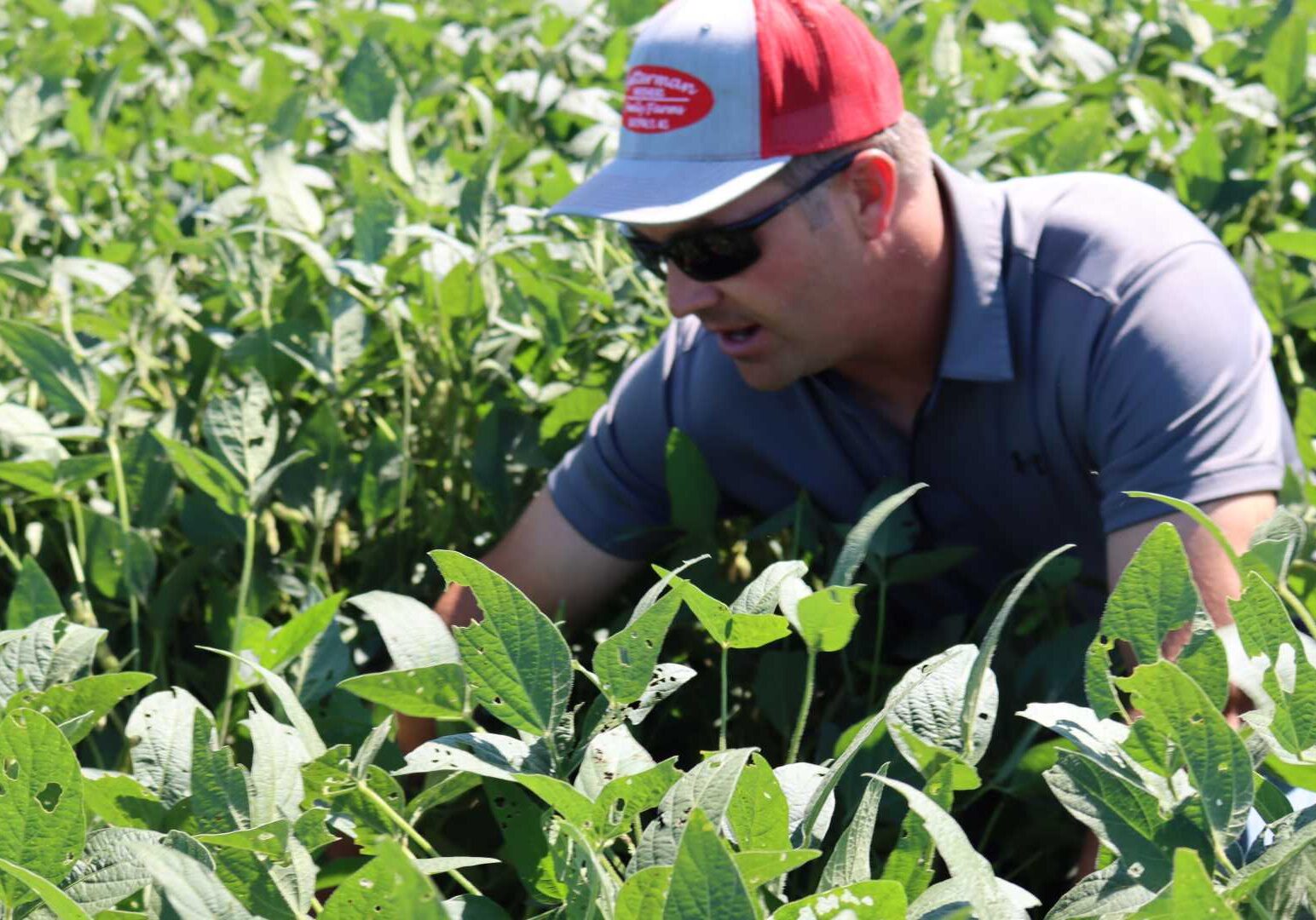 Nick Guetterman hopes to see a yield increase from his soybeans and corn after several years of using cover crops.