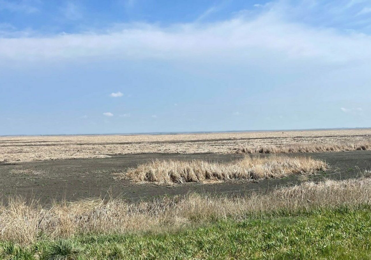 A dry and parched Cheyenne Bottoms wetlands area in central Kansas.