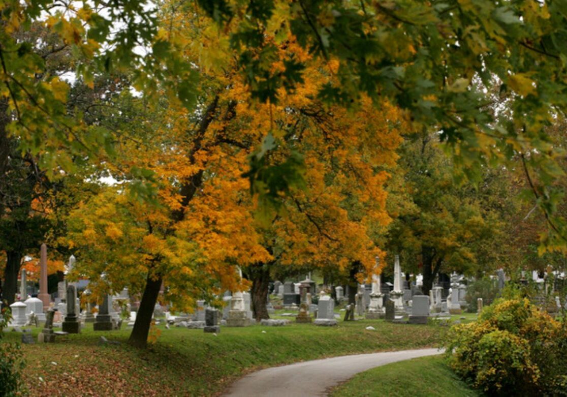 Visitors to Elmwood Cemetery can examine thousands of grave markers and monuments.