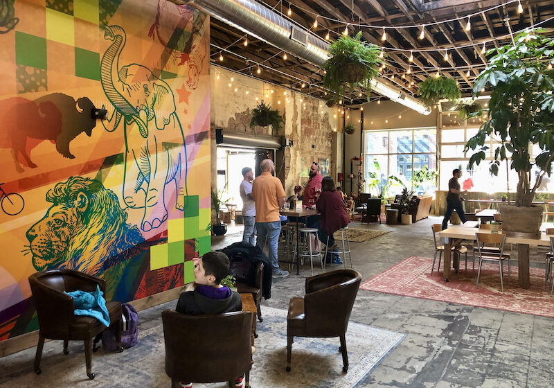 Expanded Casual Animal