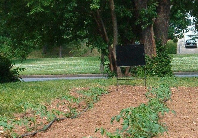 A woman on a scooter
