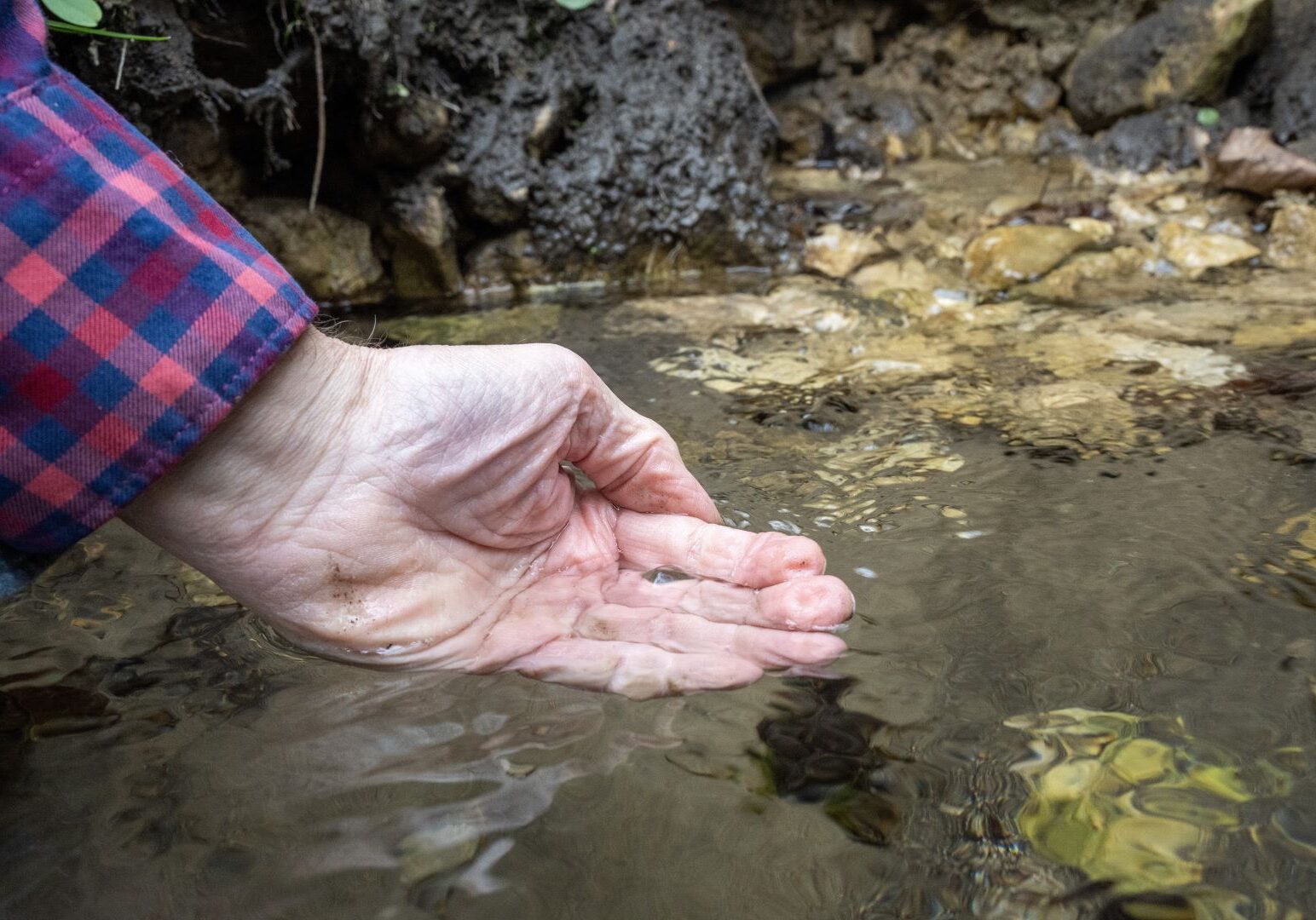 Jeff Broberg examines water from a spring on April 11, 2024, near Altura, Minnesota.