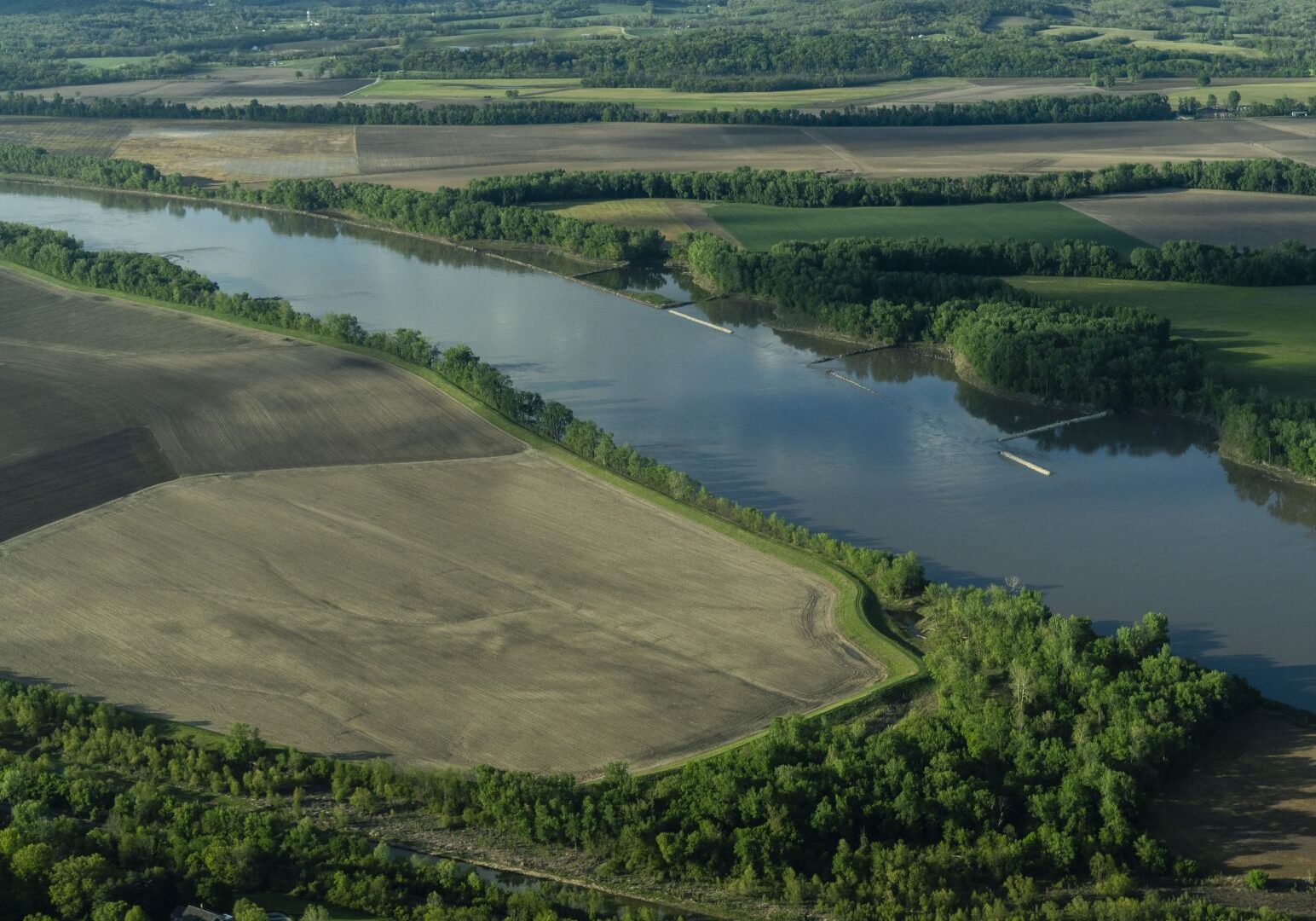 Fertilizer runoff from farmland, like these farms seen along the Mississippi River in Missouri on April 24, 2024, is a major contributor to the dead zone in the Gulf of Mexico.