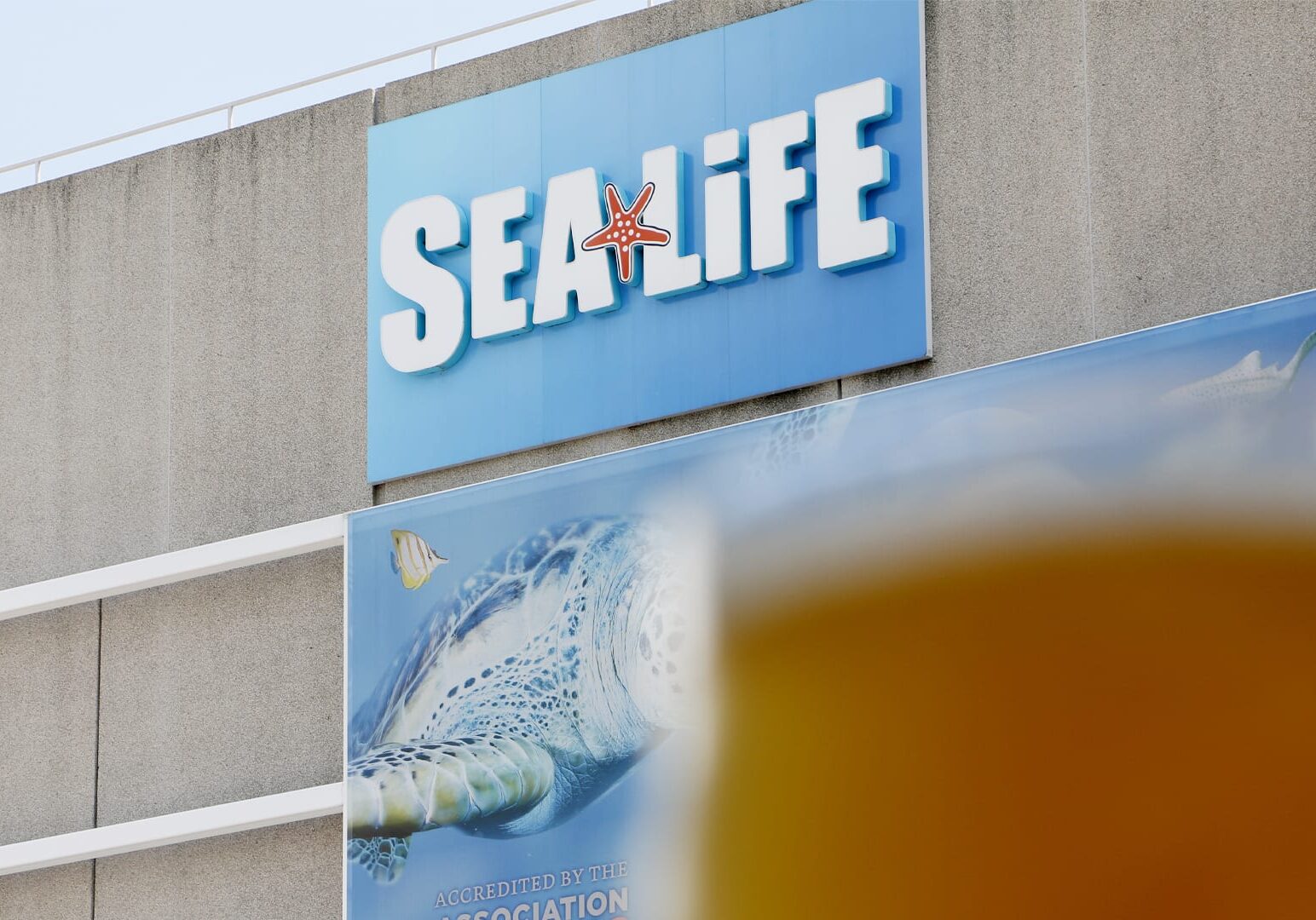 sea life sign
