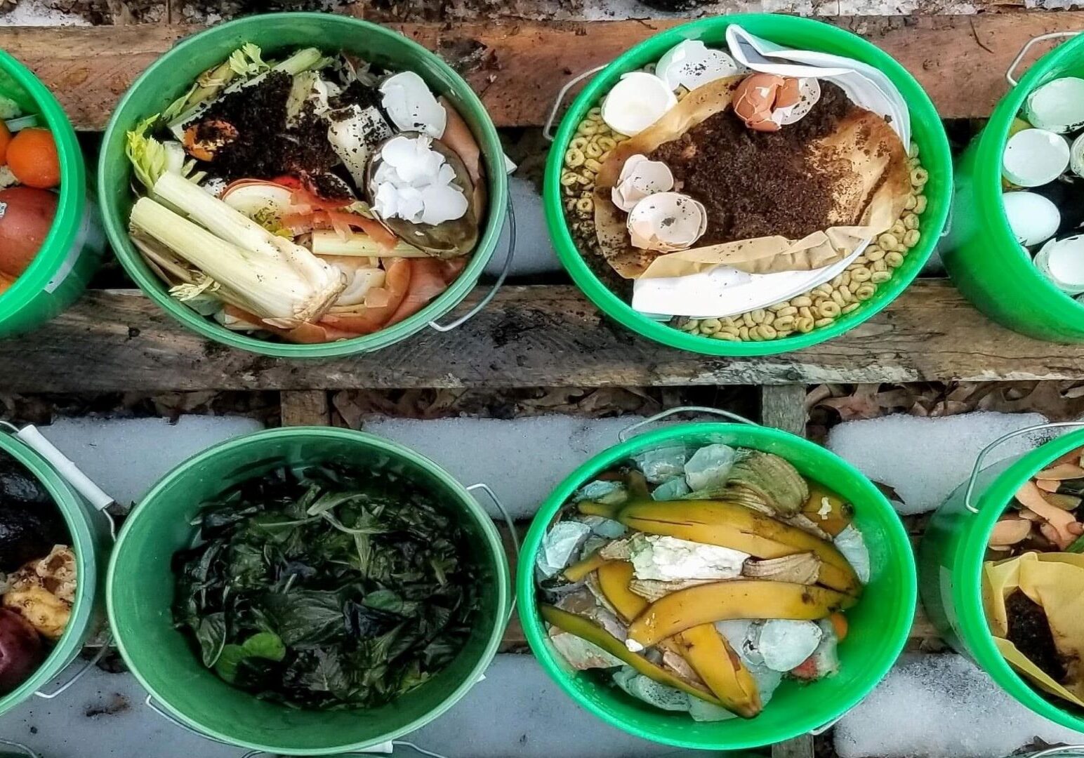 Buckets of food waste.