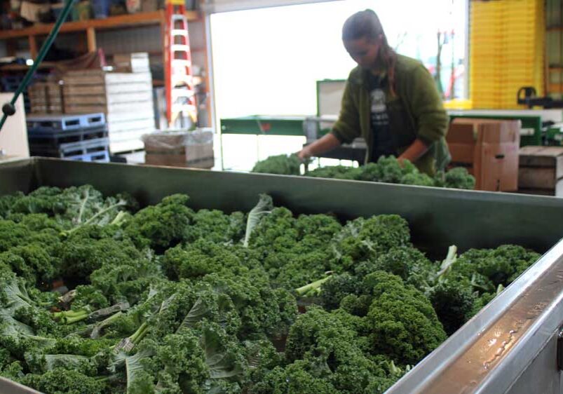 Photo: Amy Mayer/Harvest Public Media)