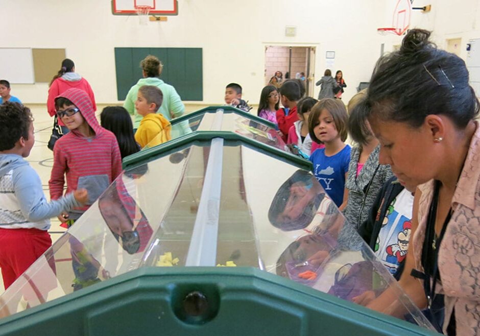Salad bar at school cafeteria