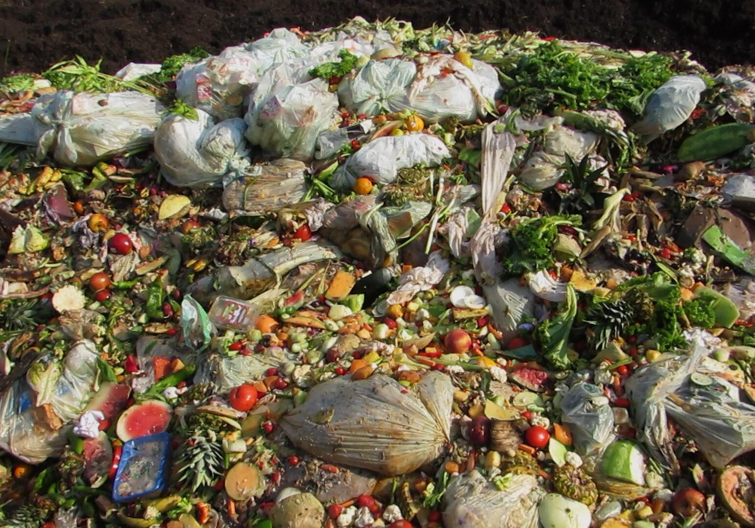 Food getting ready to be composted at Missouri Organic Recycling's facility in Liberty, Missouri.
