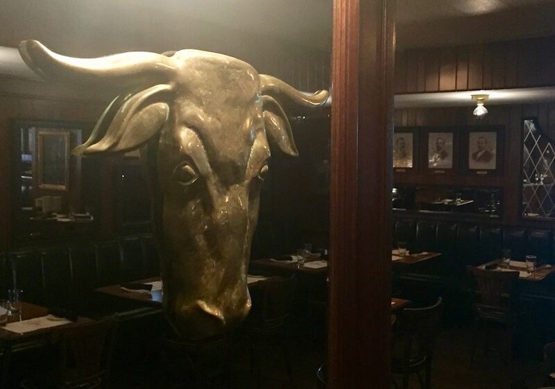 Golden Ox cattle head