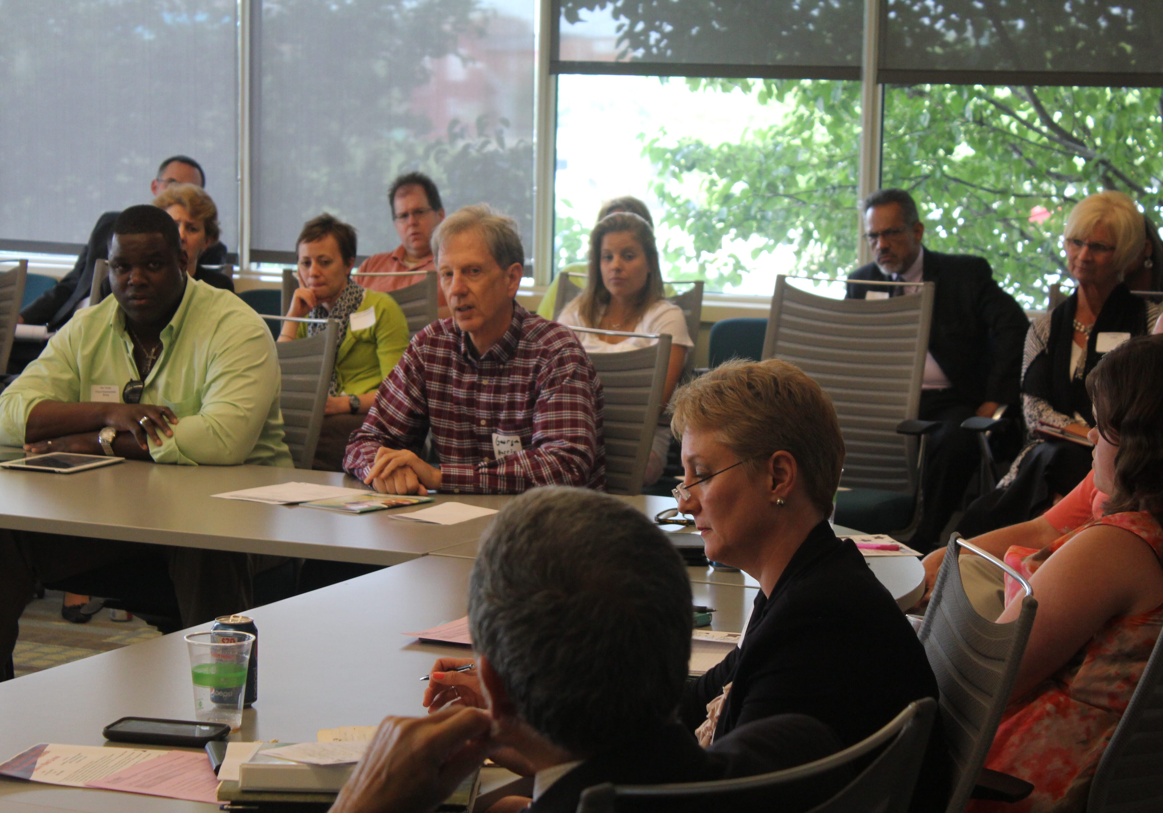 A consultant has recommended improvements to the Regional Health Care Initiative, which includes a number of committees, including the one on mental health shown above. (File photo)