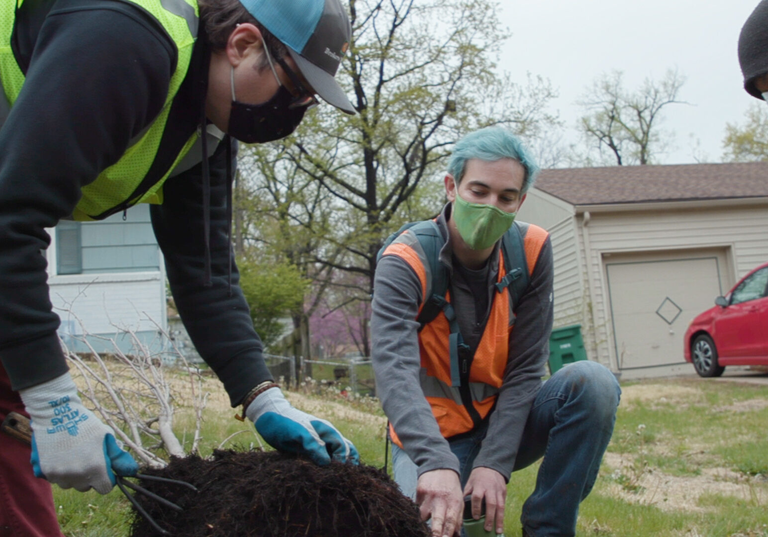 Heartland Tree Alliance workers prepare to plant an American elm tree in the Fairlane neighborhood of Kansas City.