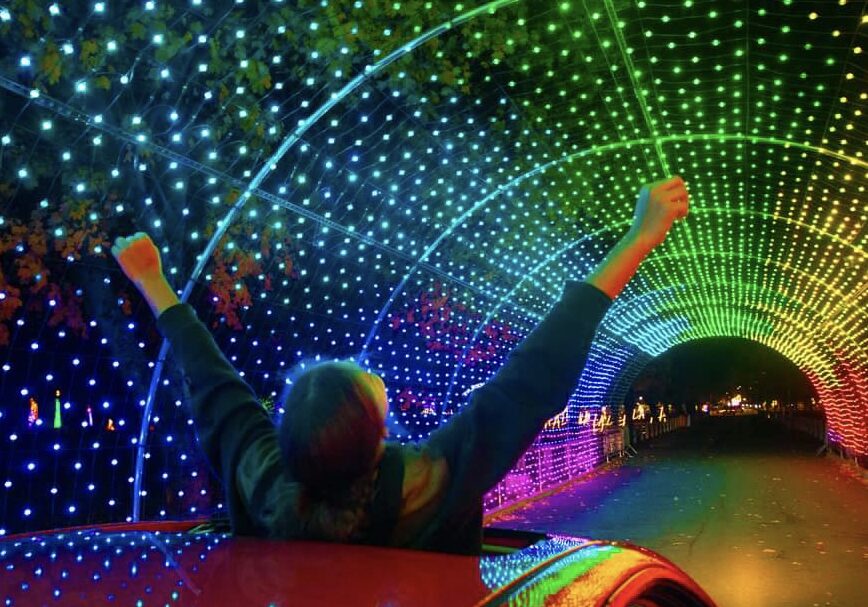 A child takes in the Winter Magic Light display