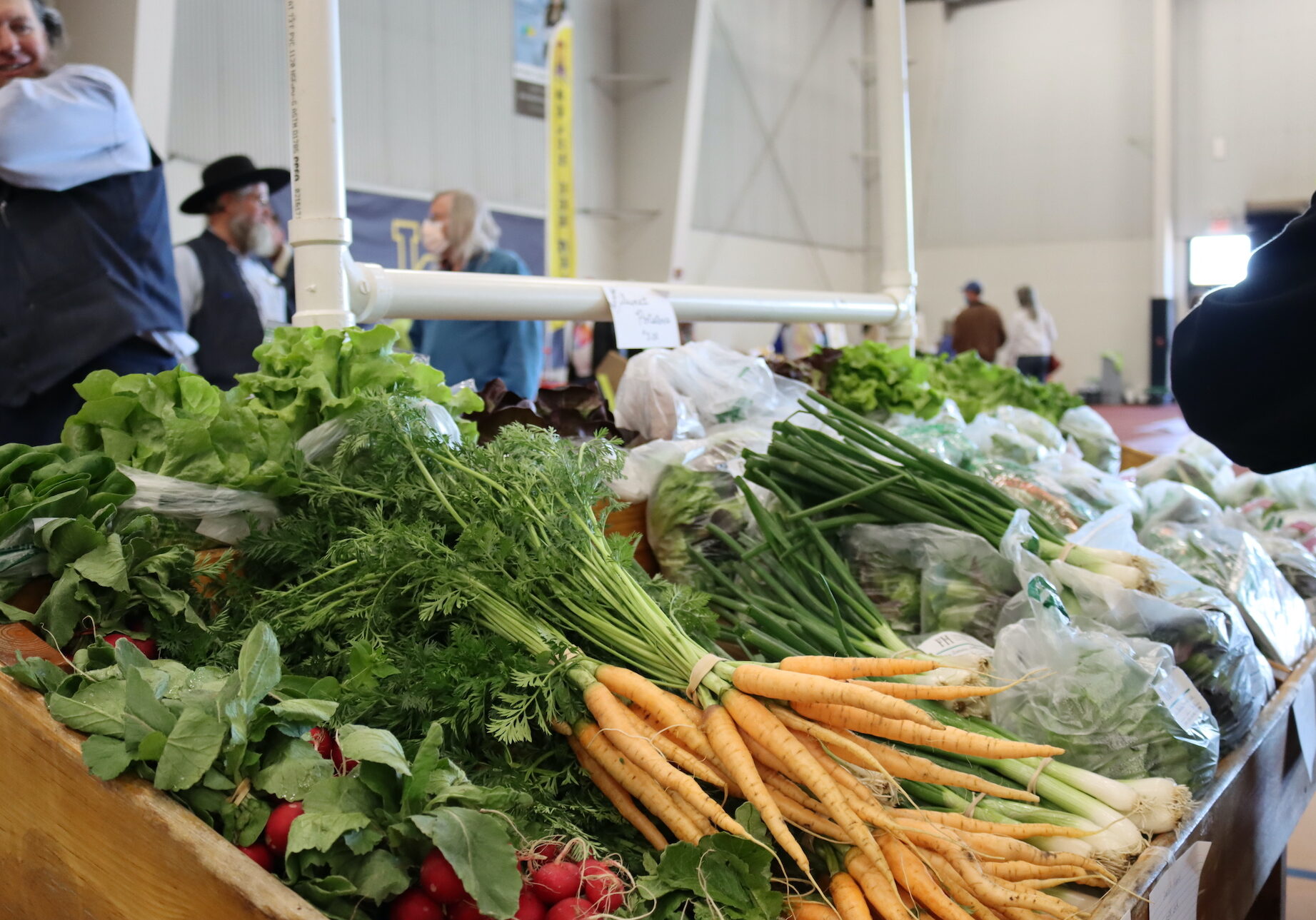 Radishes, carrots, greens and leeks are piled on a table.
