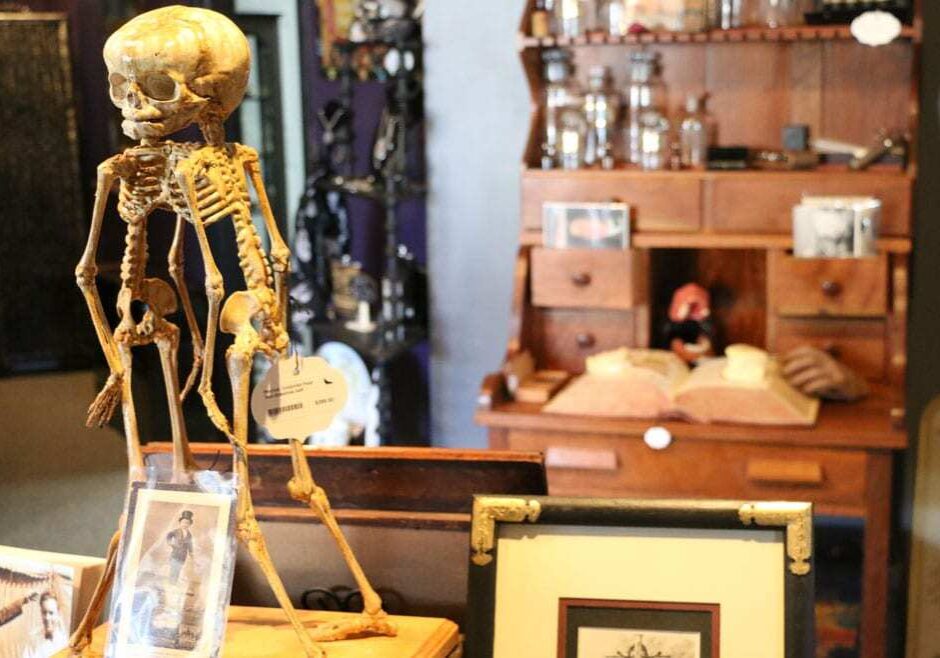 This art piece of conjoined twins is by R.A. Miness, an artist whose work has been featured on FX's "American Horror Story." The piece, named "Percival," is for sale at Noir Arts and Oddities on W. 39th Street. Photo: Caitlin Cress, Flatland 
