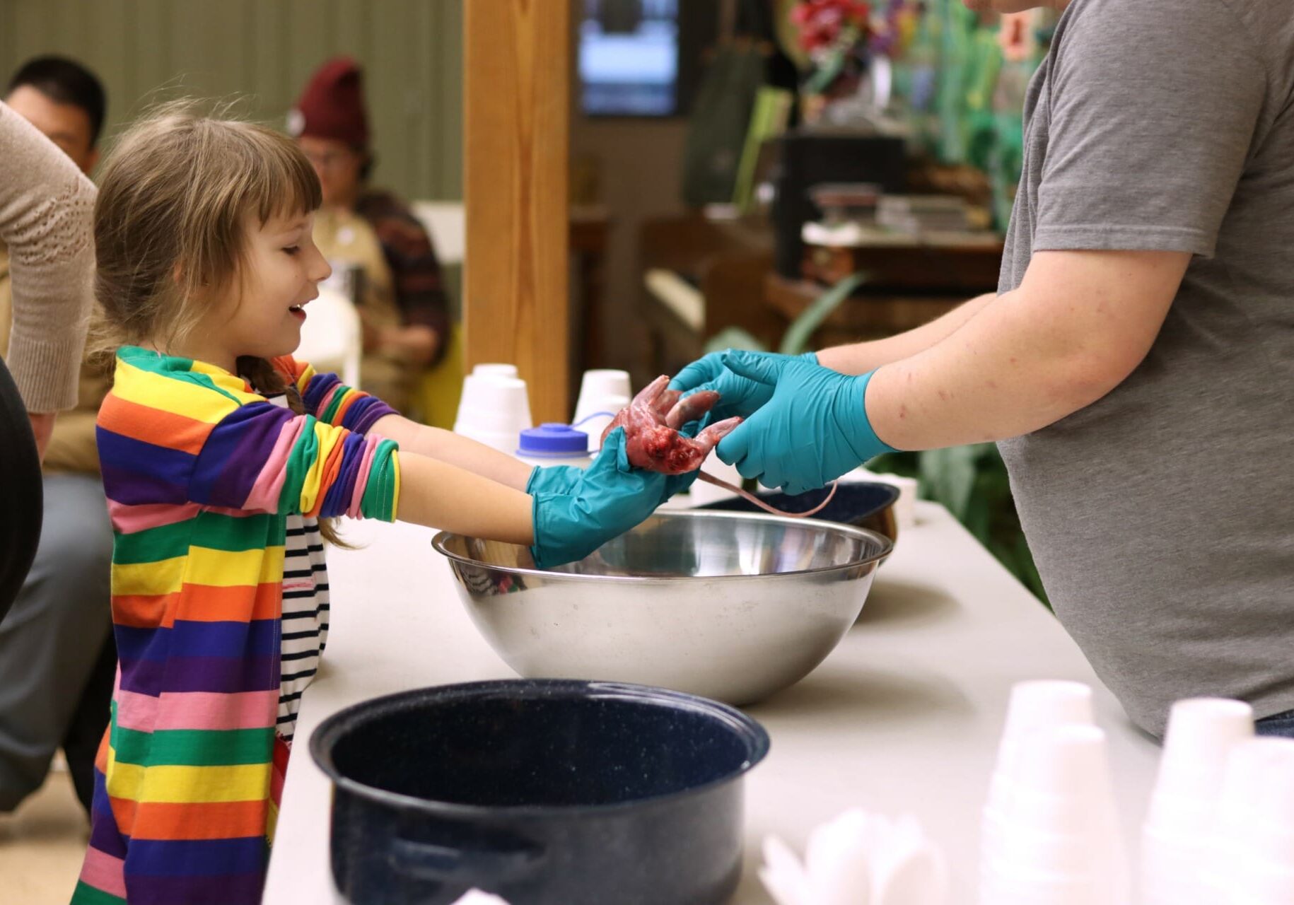 A young girl in a colorful striped shirt holds up a skinned and gutted squirrel from a silver bowl.