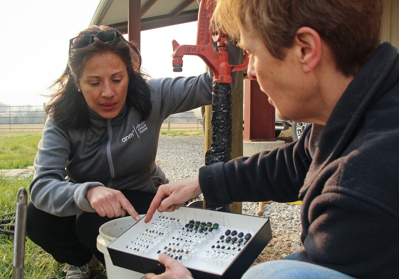 Entomologist Mary Liz Jameson, right, shows Luz Horton which kinds of dung beetles likely live on the land where she and her husband, Jamin Horton, own a bison ranch.