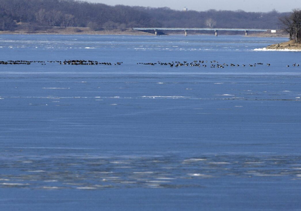 Ducks and geese roost on the frozen waters of Perry Lake near Perry, Kan., Friday, Jan. 16, 2015. Kansas water officials have proposed to move ahead on big-ticket projects to secure the states long-term water supply. (AP Photo/Orlin Wagner)