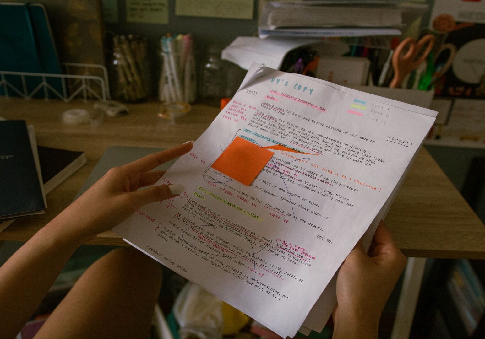 Vy Nguyen's written explanation of her work.